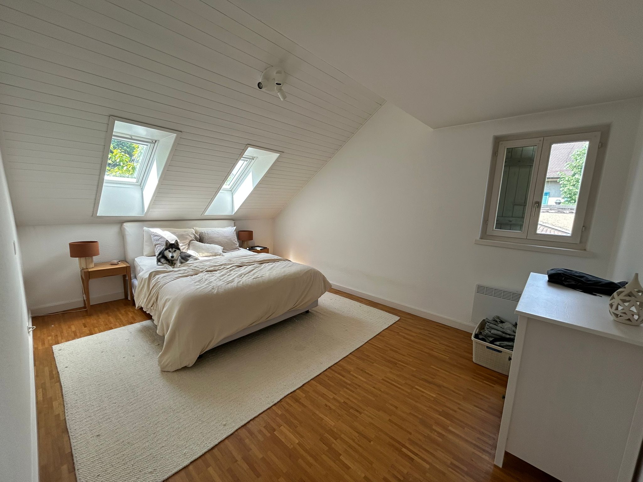DUPLEX D’EXCEPTION AU CŒUR DE CAROUGE 5 pièces – 140 m² – Élégance, volumes et calme absolu dans l’un des quartiers les plus prisés de Genève — photo 9
